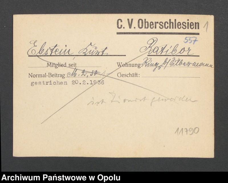 Obraz 3 z jednostki "[Ebstein Kurt, Ratibor]"