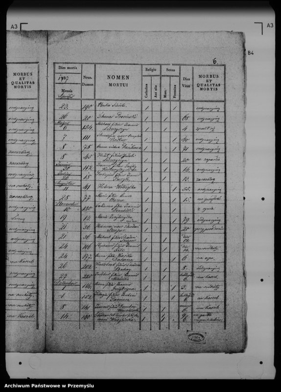 Obraz 11 z jednostki "[Kopie ksiąg metrykalnych parafii Werchrata z filią Prusie (dekanat Rawa Ruska)]"