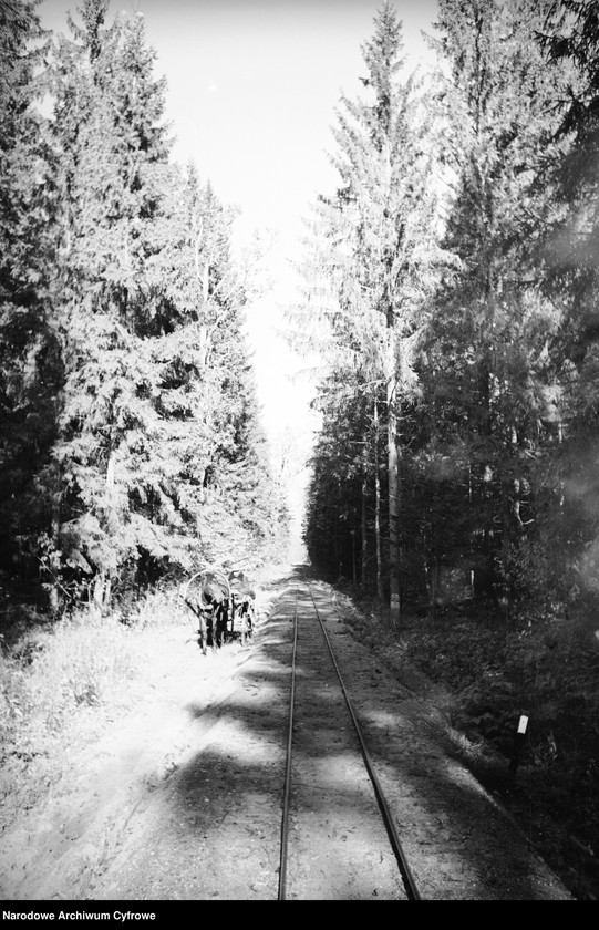 image.from.unit.number "Białowieża"