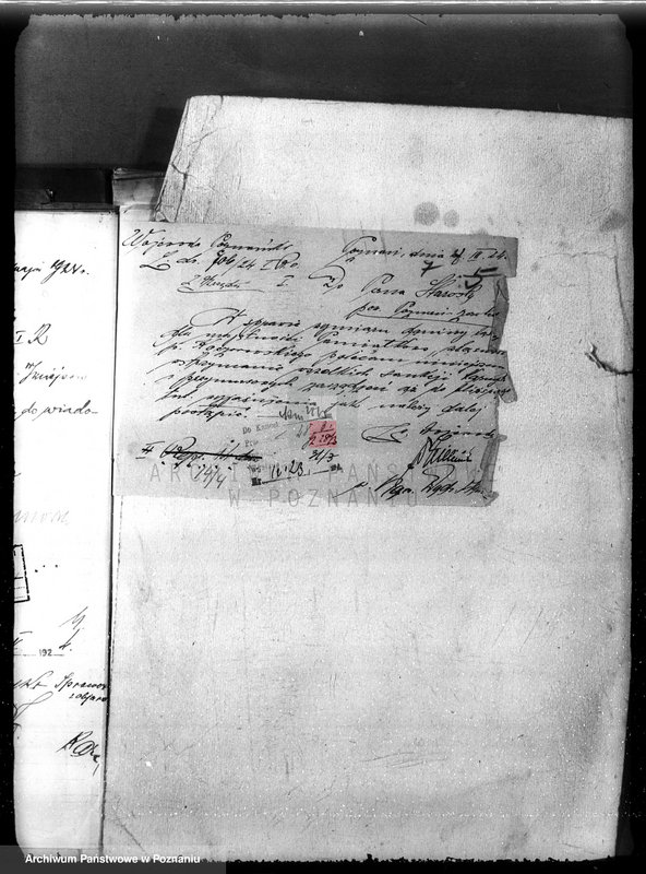 Obraz 13 z jednostki "Nadzór nad gospodarką w lasach majętności Pamiątkowo powiat obornicki"