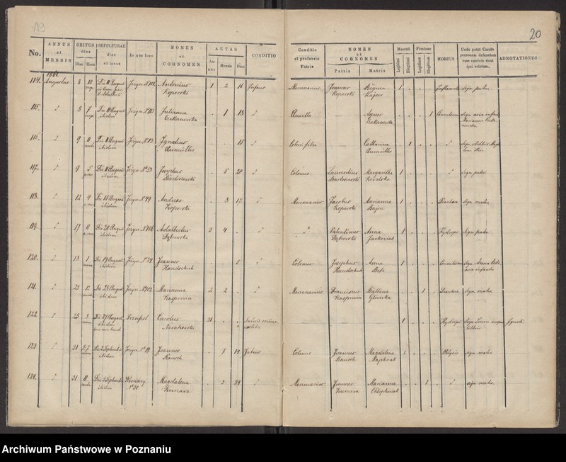 Obraz 12 z jednostki "Księga zgonów"