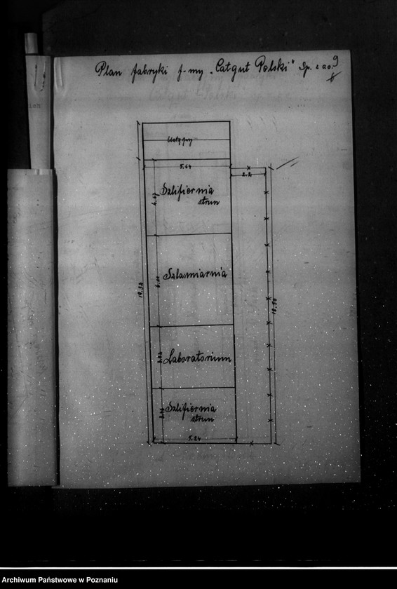 Obraz 13 z jednostki "Kwestionariusz zakładu "Catgut" /wytwórnia strun chirurgicznych i technicznych/"