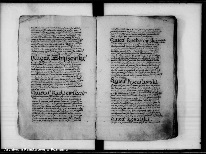 Obraz 18 z jednostki "Inscriptiones, relationes [inducta]"