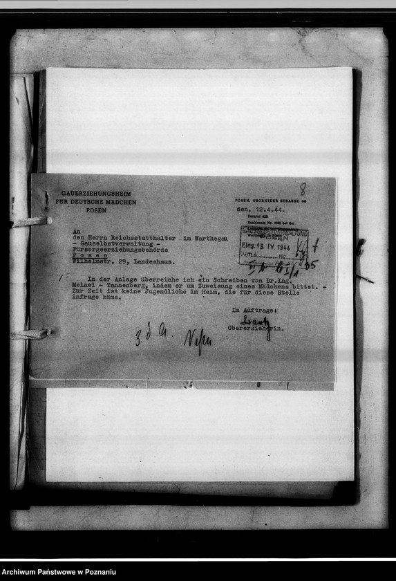 Obraz 12 z jednostki "Anträge auf Überweisung von Fürsorgezöglingen in den Dienst."