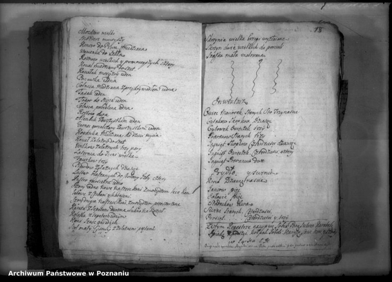 Obraz 19 z jednostki "Relationes [protocollon]"