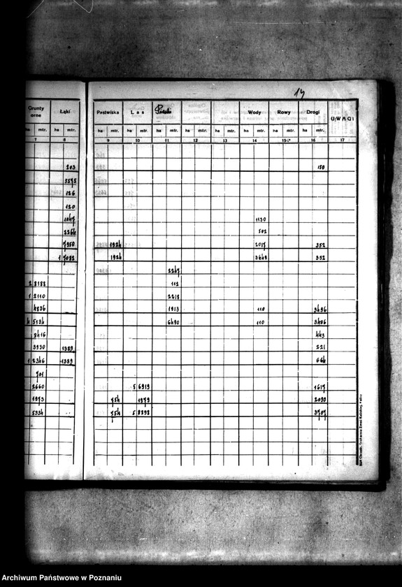 Obraz 18 z jednostki "Rejestr pomiarowy wsi Szczepidło powiatu konińskiego"