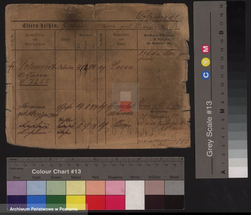 Obraz 5 z jednostki "Szmidt (żonaci)"