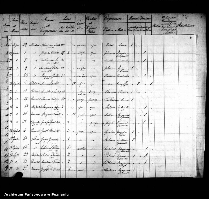 image.from.unit.number "Liber mortuorum"