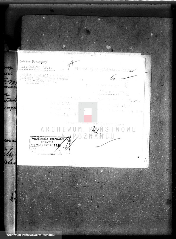 Obraz 10 z jednostki "Zalesienie nieużytków w powiecie międzychodzkim"