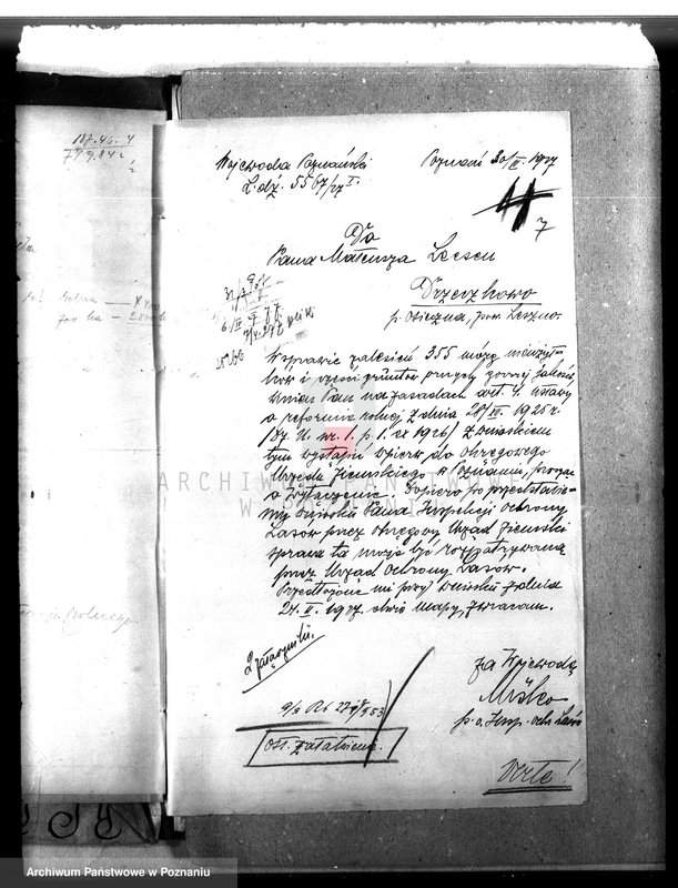 Obraz 11 z jednostki "Majętność leśna Drzeczkowo powiat leszczyński"