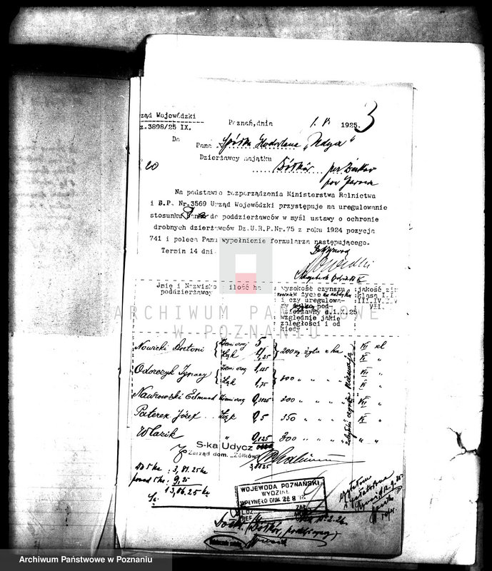 Obraz 7 z jednostki "Poddzierżawcy majątku państwowego Żółków"