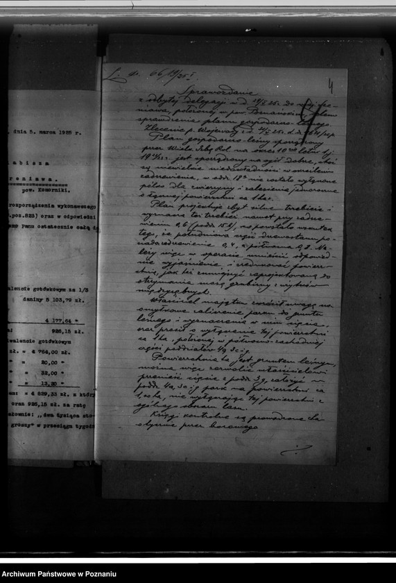 Obraz 8 z jednostki "Nadzór nad gospodarką w lasach majątku Szreniawa powiat poznański"