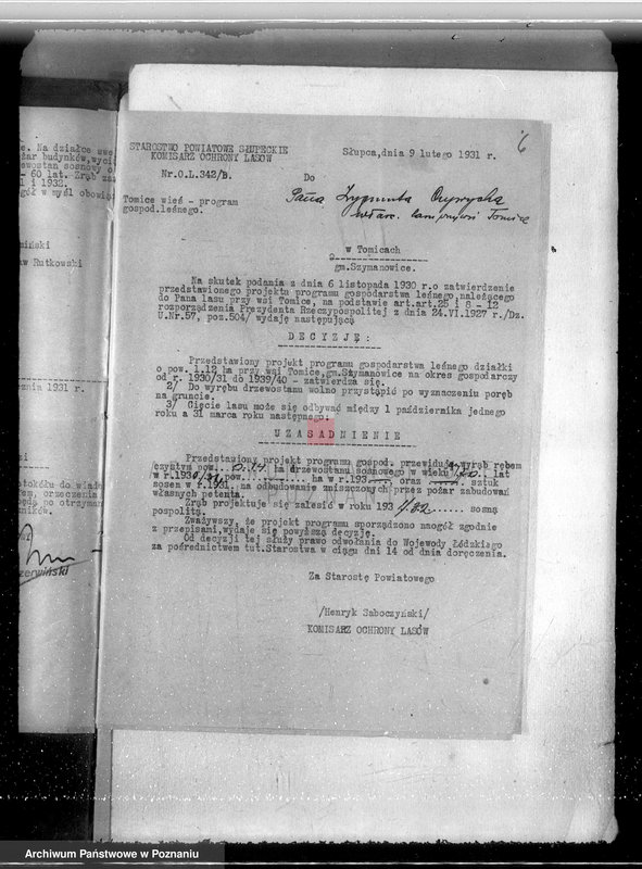 Obraz 10 z jednostki "Gmina Szyminowice powiat koniński /nadzór nad gospodarką leśną/"