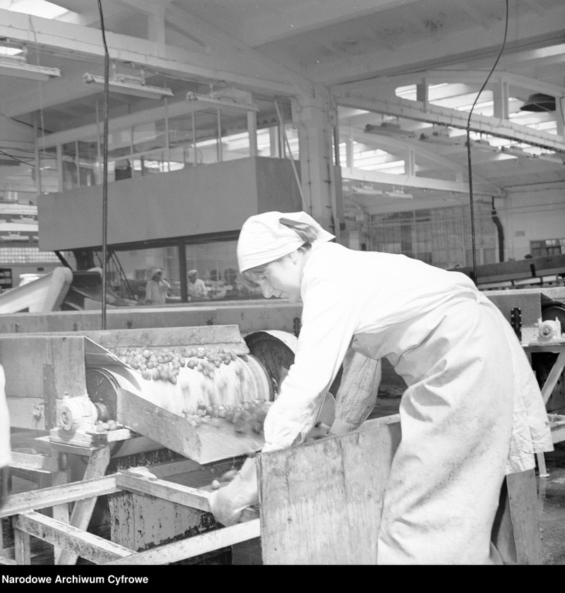 image.from.unit.number "Zakład produkcyjny Przedsiębiorstwa Handlu Zagranicznego "Hortex" w Górze Kalwarii"