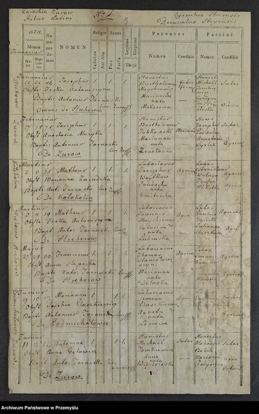 Obraz 7 z jednostki "[Odpisy ksiąg urodzeń, małżeństw, zgonów parafii rzymskokatolickiej Żurów z lat 1823-1827]"