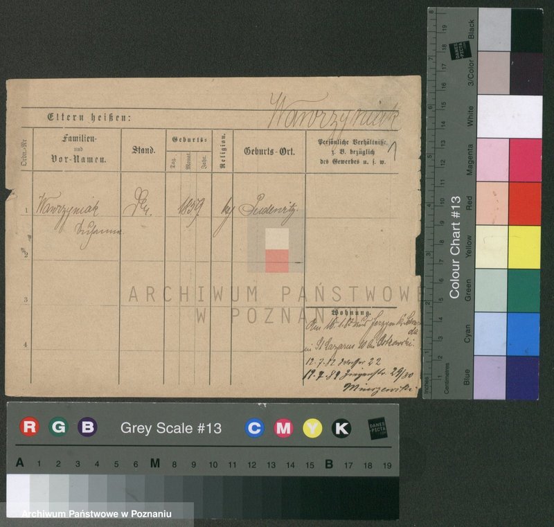 Obraz 5 z jednostki "Wawrzyniak (samotni mężczyźni i kobiety)"