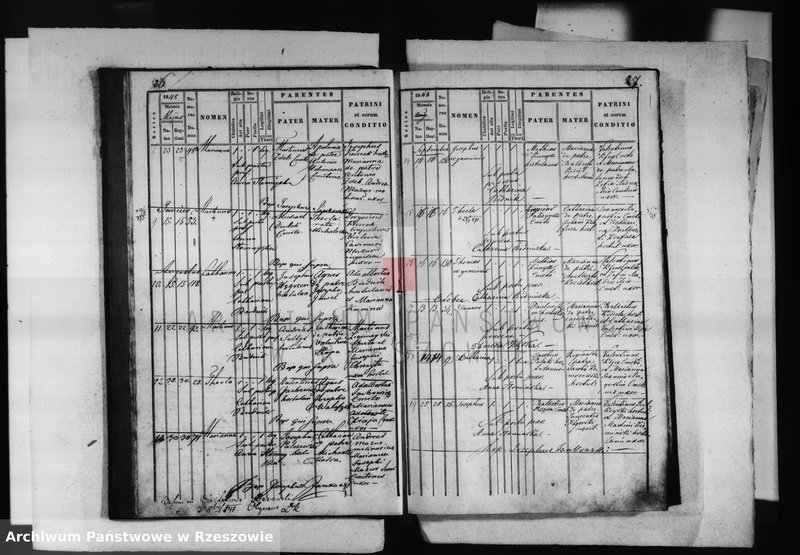 image.from.unit.number "Księga małżeństw , urodzeń i zgonów - Krasne - urodzenia - 1844 - 1857, małżeństwa - 1846 - 1872, zgony 1847 - 1863"