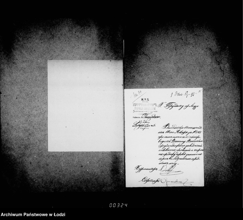 Obraz 17 z jednostki "O prodaže usochšago po korne dereva v lodzinskich gorodskich lesach v 1894 g. i 1895 gg"