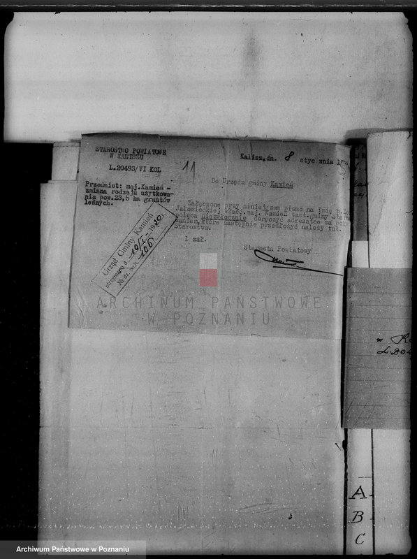 Obraz 15 z jednostki "Majątek Kamień powiat kaliski /sprawy leśne/"