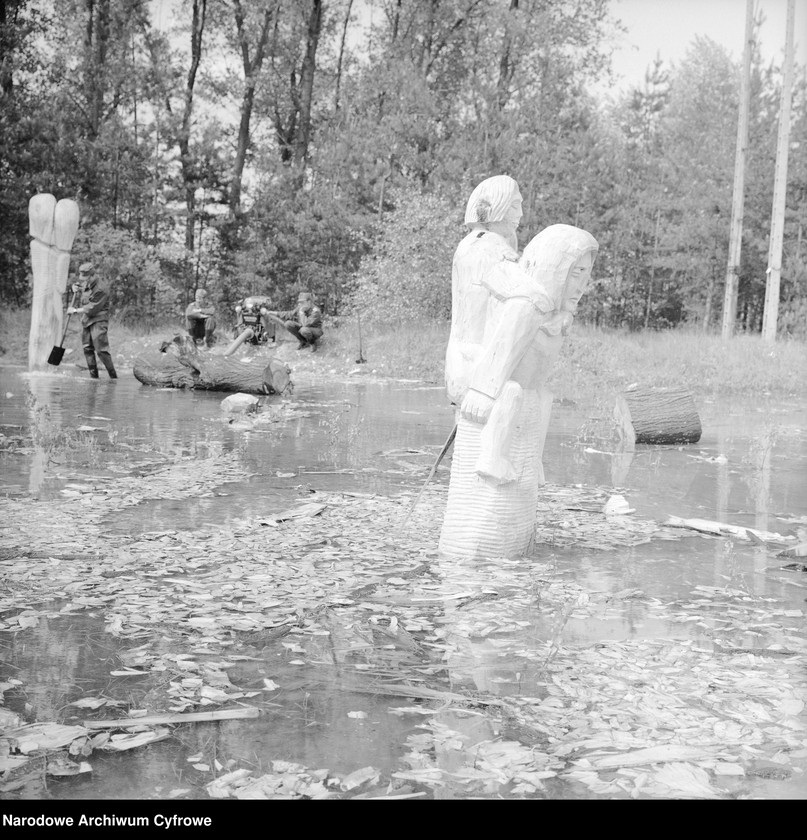 image.from.unit.number "Ogólnopolskie plenery rzeźby ludowej w Szamotułach i Turku"