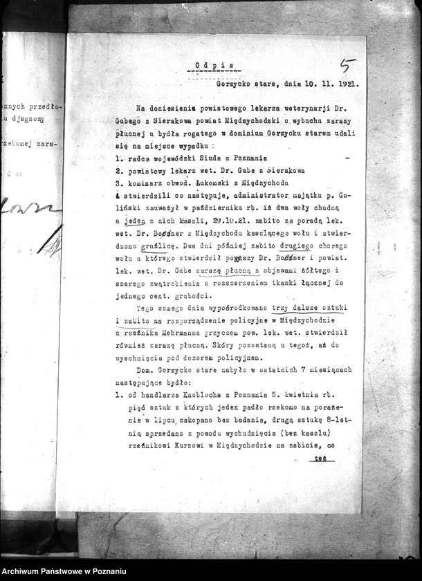 Obraz 9 z jednostki "Zaraza płucna - Międzychód"