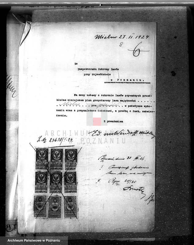 Obraz 12 z jednostki "Majętność leśna w Mielnie w powiecie gnieźnieńskim"