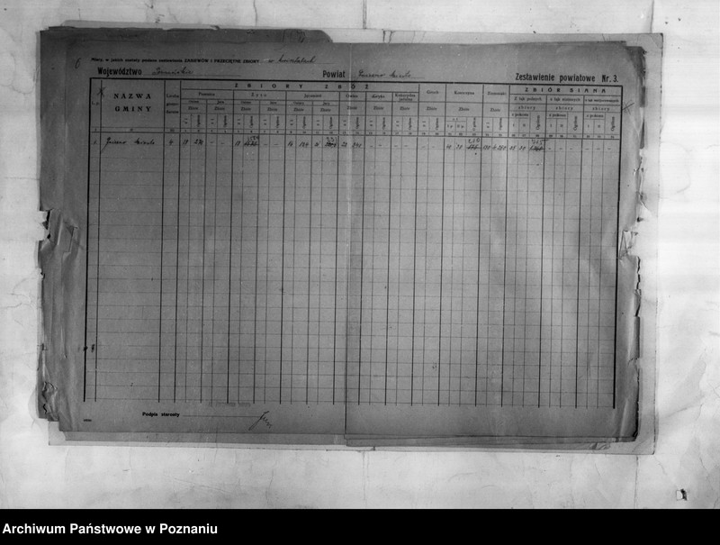 Obraz 8 z jednostki "/Statystyka produkcji rolnej - zestawienie powiatowe z terenu Gniezna/"