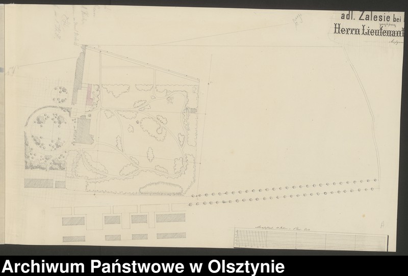 Obraz 2 z jednostki "[Projekt parku w Zalesiu, pow. Nakło]"
