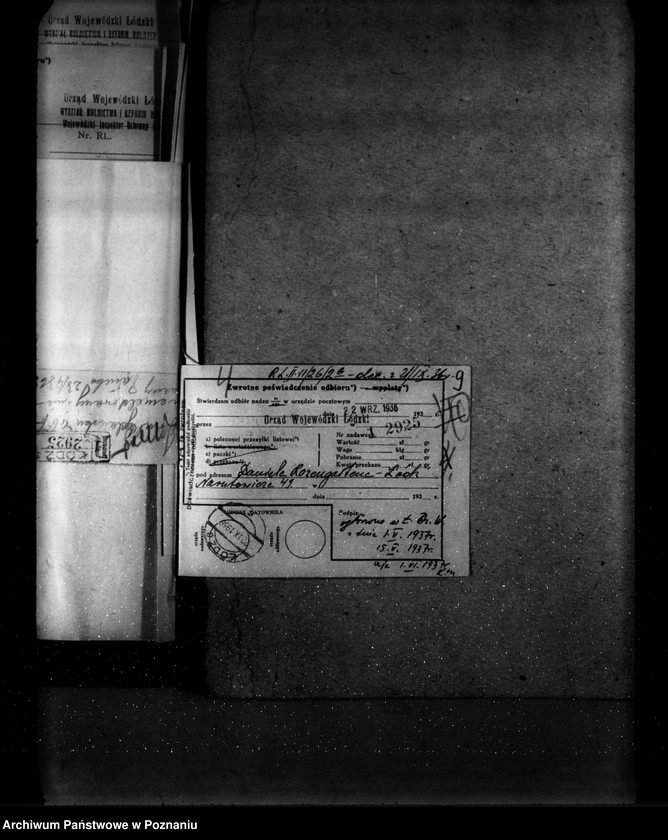 Obraz 13 z jednostki "Parcele leśne p.n.,,Ewelin" gmina Niewiesz powiat turecki"