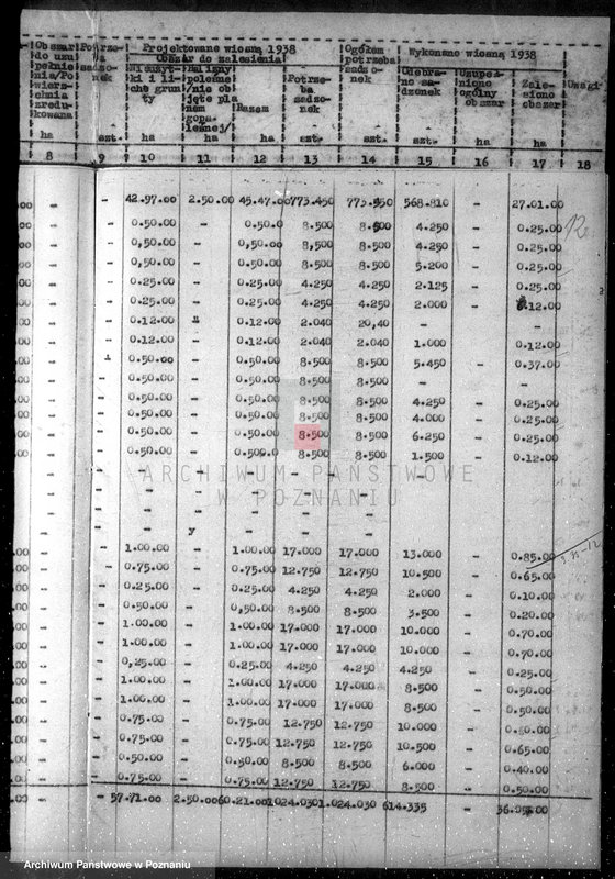 Obraz 16 z jednostki "Zalesienie nieużytków /wykaz/"