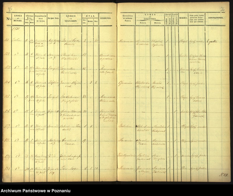 Obraz 16 z jednostki "Księga zgonów"