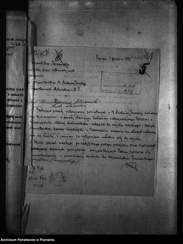 Obraz 15 z jednostki "Okólniki"