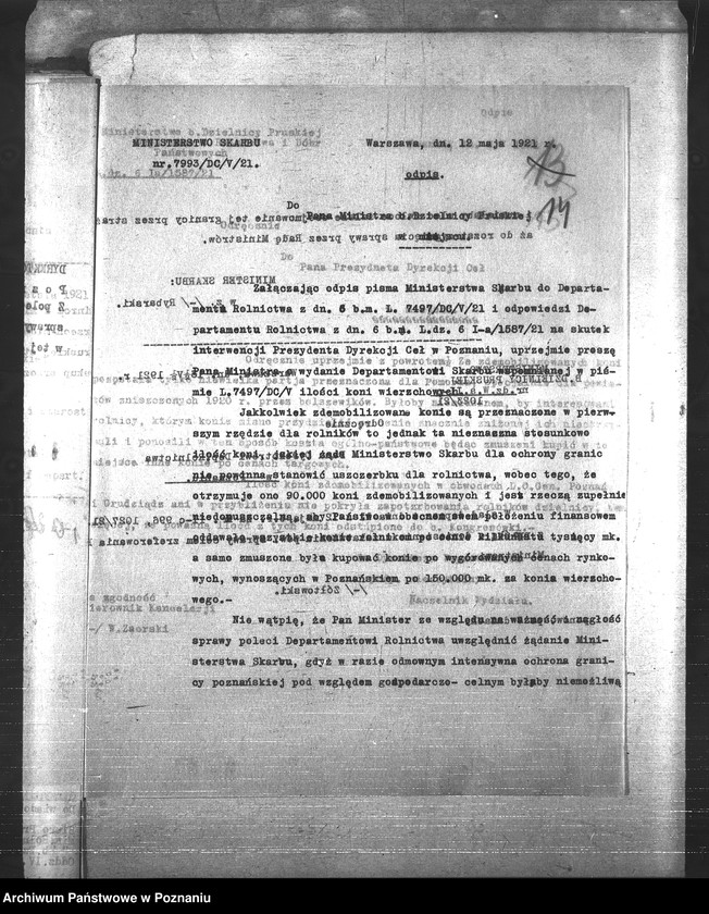 Obraz 18 z jednostki "Konie"