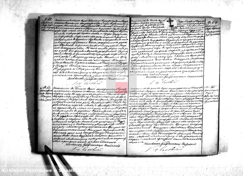 Obraz 19 z jednostki "Duplikat serejskago prichoda na 1875 god"
