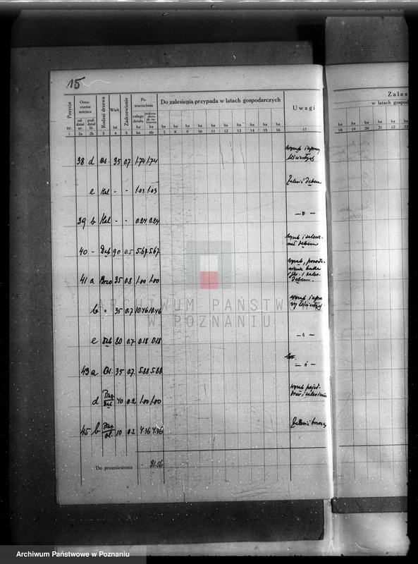 Obraz 19 z jednostki "Plan urządzenia gospodarstwa leśnego lasu majętności Dakowsko-Wojnowickiej w powiecie nowotomyskim"