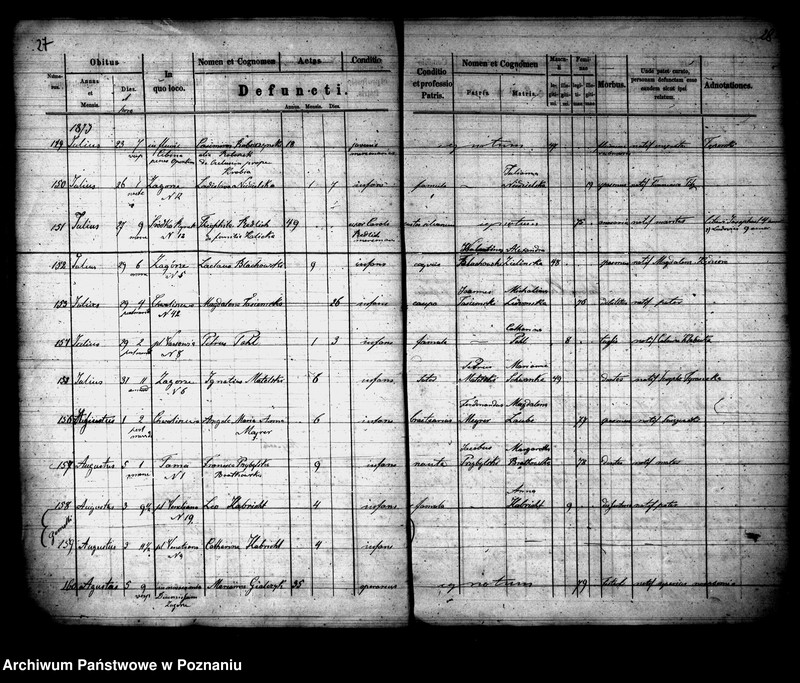 Obraz 15 z jednostki "Księga zgonów"