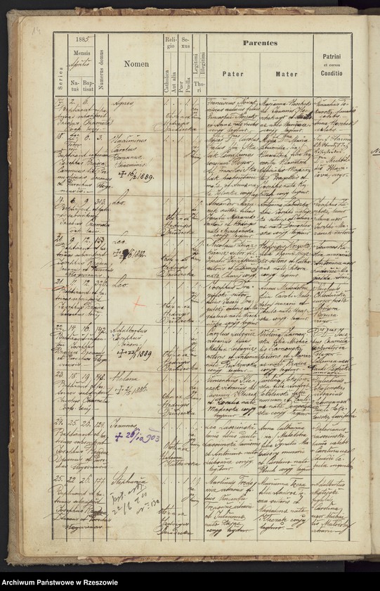 image.from.unit.number "Księga urodzeń Głogów"