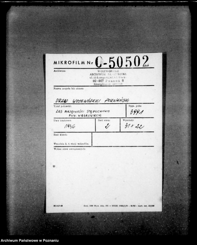 Obraz 2 z jednostki "Las majętności Stępuchowo powiat wągrowiecki"