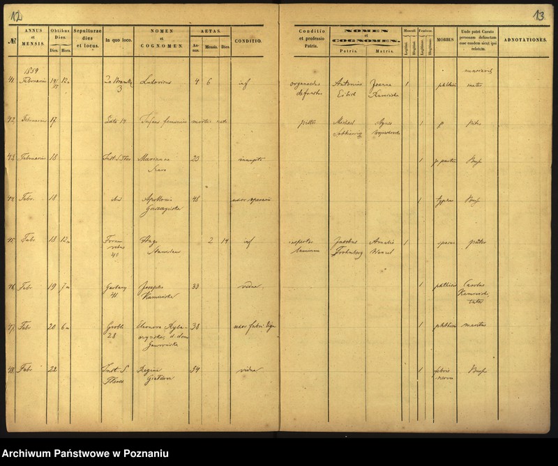 Obraz 9 z jednostki "Księga zgonów"