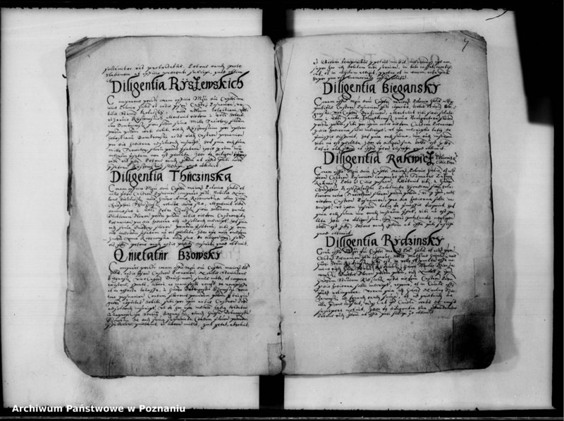 Obraz 8 z jednostki "Inscriptiones, relationes [inducta]"