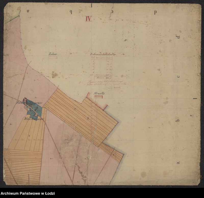Obraz 4 z jednostki "Mappa dóbr Roszkowa Wola składających się z folwarku i wsi Ruszkowa Wola, Jeziorzec w powiecie rawskim ... położonych"