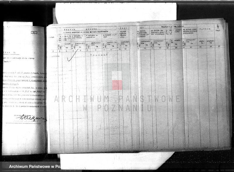 Obraz 9 z jednostki "Sprawozdanie roczne za 1935 rok /komisarzy ochrony lasów/"