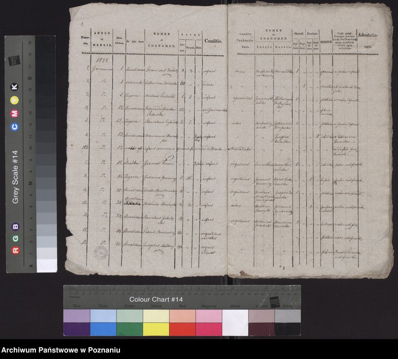 Obraz 3 z jednostki "Spis zgonów"