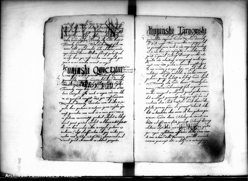 Obraz 7 z jednostki "Inscriptiones [inducta]"