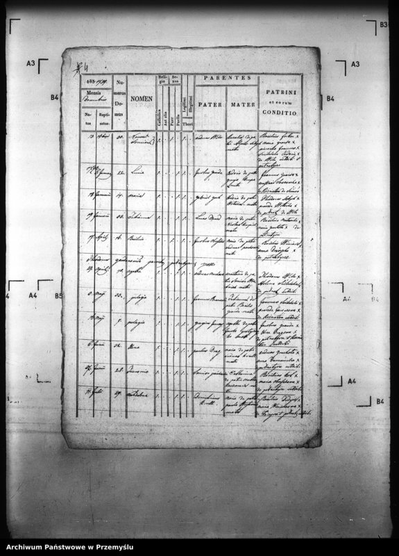 image.from.unit.number "[Kopie ksiąg metrykalnych parafii Pełniatycze z filiami Cząstkowice, Czelatyce, Roźwienica, Rożniatów, Rudołowice, Wola Roźwienicka (dekanat Pruchnik)]"