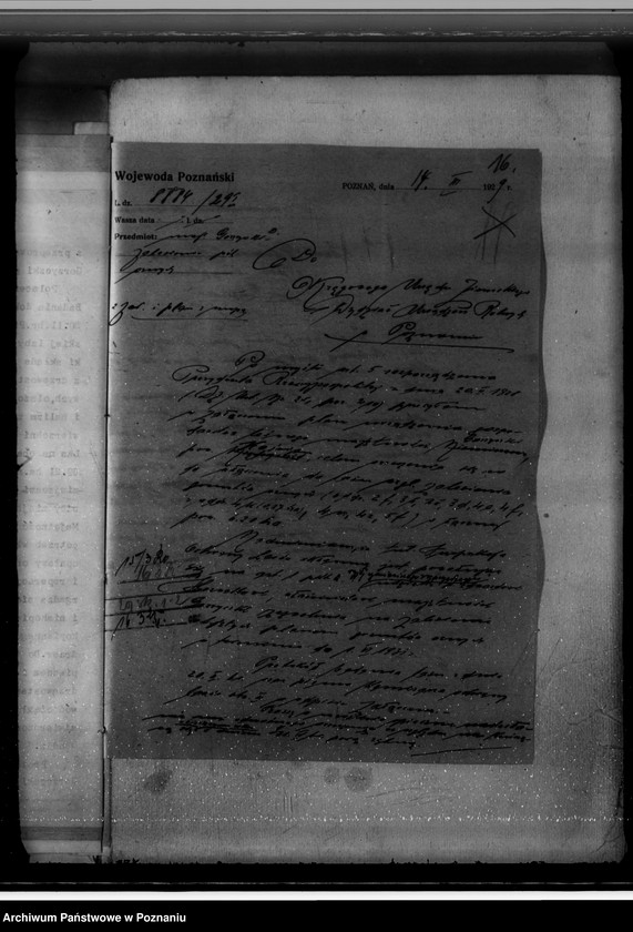 Obraz 20 z jednostki "Majętność /leśna/ Gorzycziki powiat kościański"