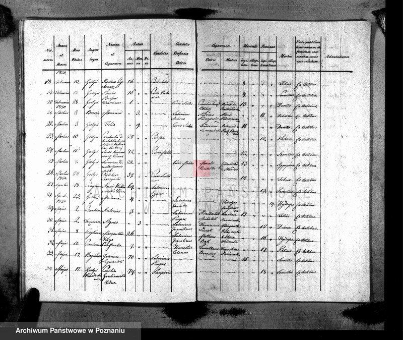 image.from.unit.number "Liber baptisatorum, copulatorum, mortuorum"