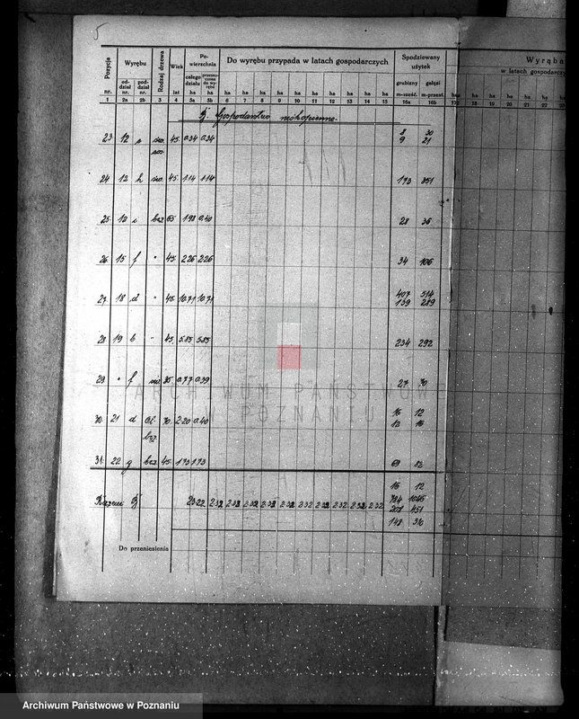 Obraz 10 z jednostki "Nadzór nad gospodarką leśną majątku Sławno powiat czarnkowskim"