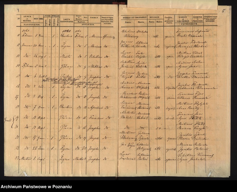 Obraz 5 z jednostki "Duplicat baptisatorum"