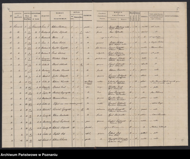 Obraz 5 z jednostki "Indeks zgonów"